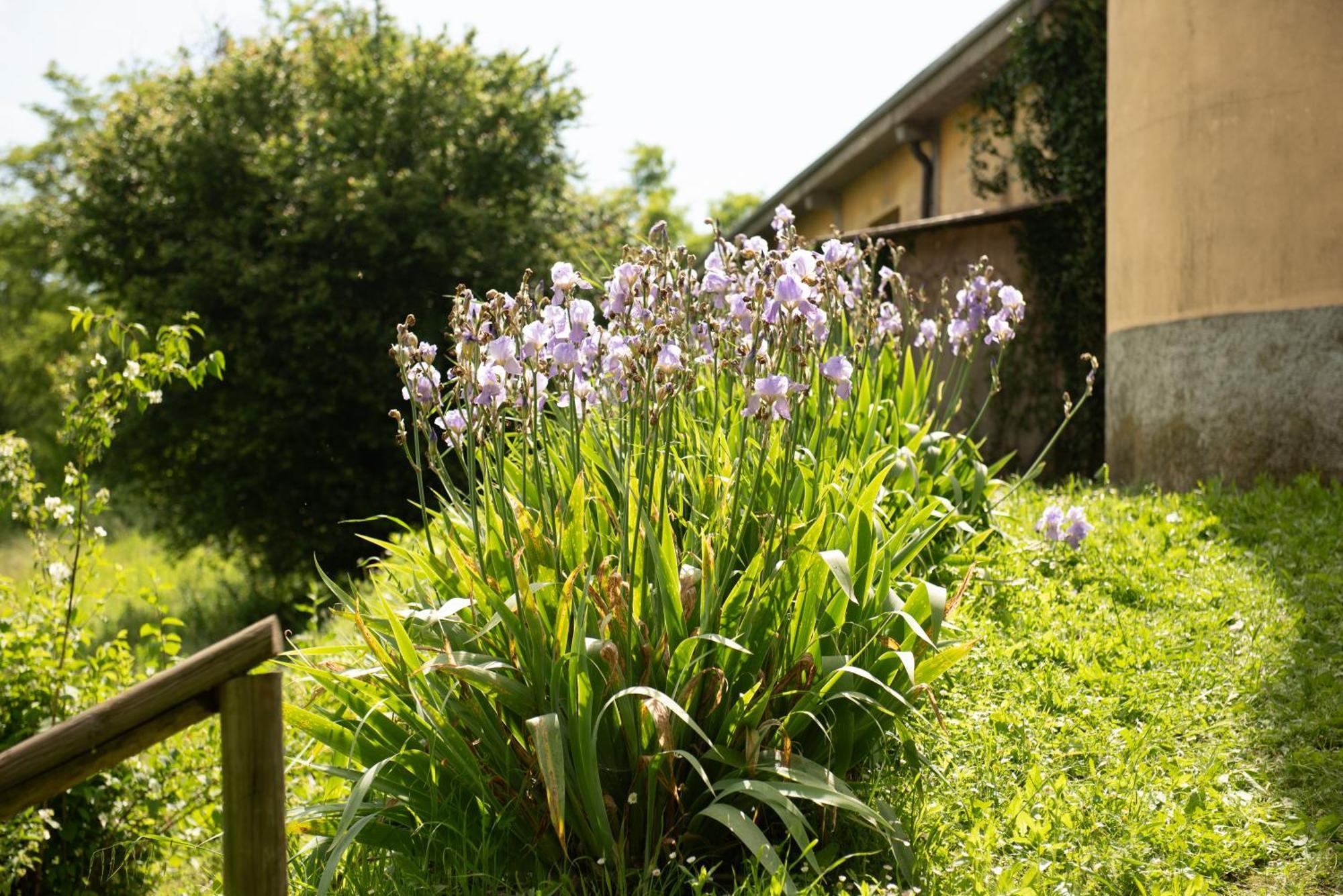 Country House Cascina Orto Pasturana Exterior foto